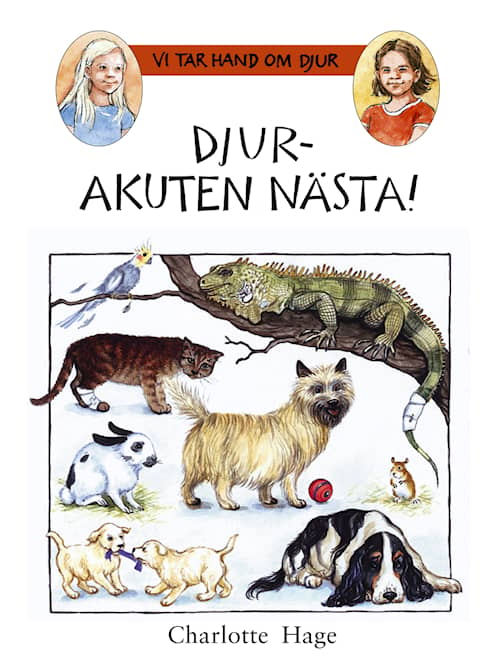 Djurakuten nästa!