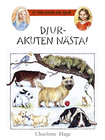 Djurakuten nästa!