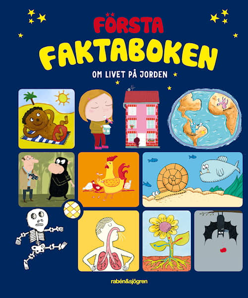 Första faktaboken