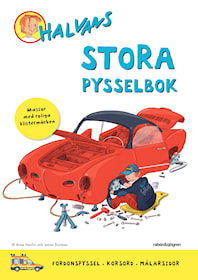 Halvans stora pysselbok