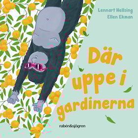Där uppe i gardinerna
