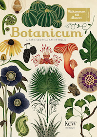 Botanicum