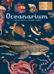 Oceanarium