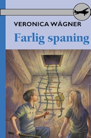 Farlig spaning