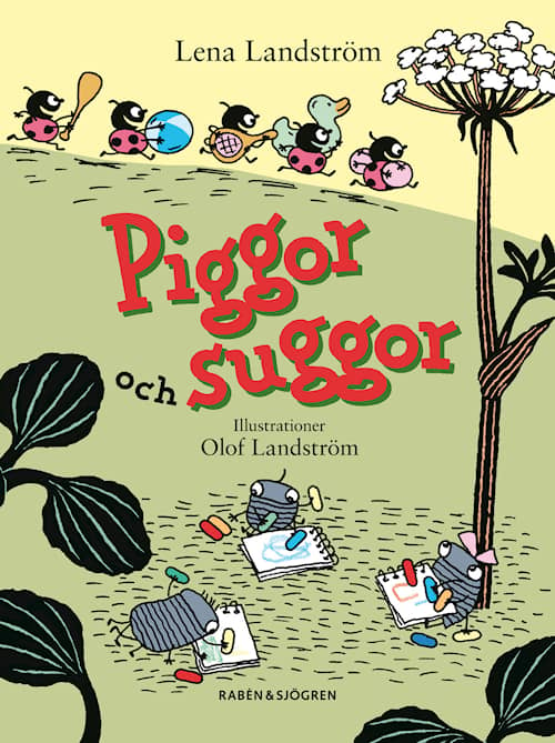 Piggor och suggor