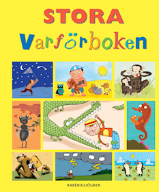 Stora varförboken