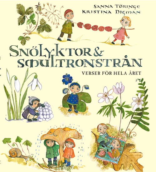 Snölyktor & smultronstrån