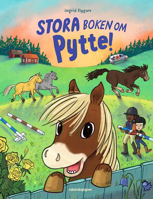 Stora boken om Pytte