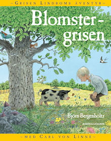 Blomstergrisen