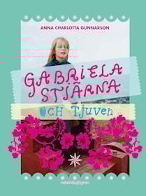 Gabriela Stjärna och tjuven