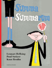 Summa summarum