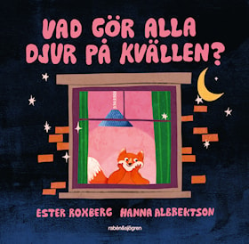 Vad gör alla djur på kvällen?