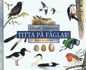 Titta på fåglar!