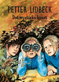 Det mystiska huset