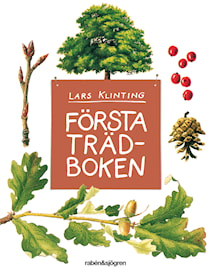 Första trädboken