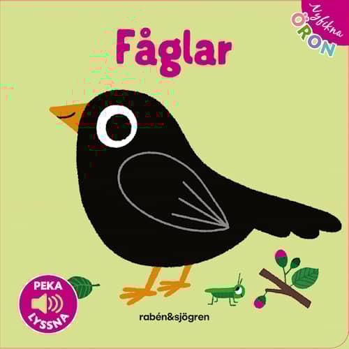 Nyfikna öron - Fåglar