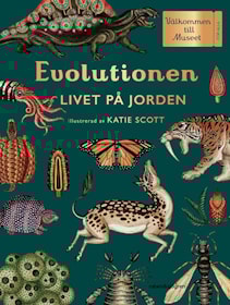 Evolutionen
