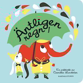 Äntligen regn!