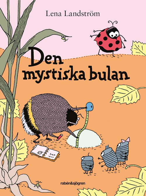 Den mystiska bulan