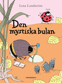 Den mystiska bulan