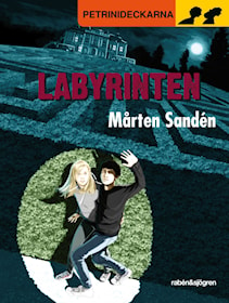 Labyrinten