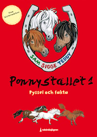 Ponnystallet 1 - Pyssel och fakta