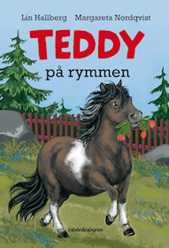 Teddy på rymmen