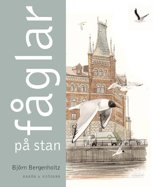 Fåglar på stan