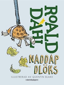 Naddap Dlöks