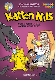 Katten Nils och mysteriet med Katten Kidds skatt