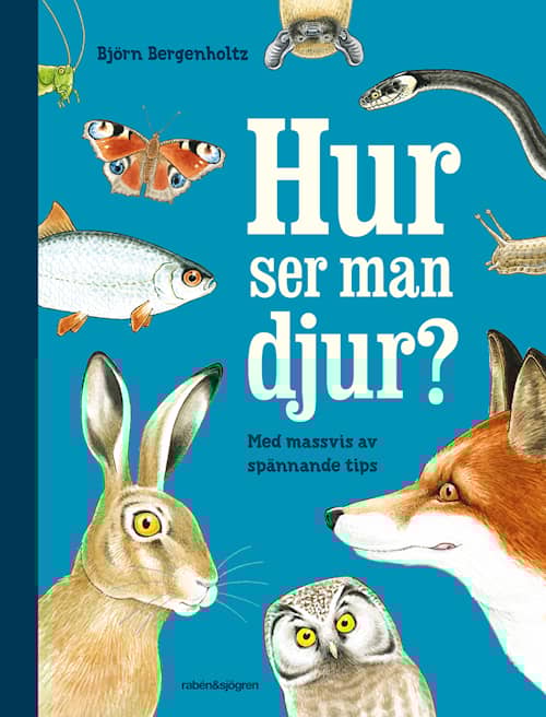 Hur ser man djur?