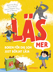 Läs mer