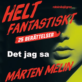 Det jag sa