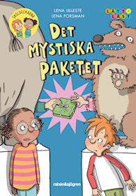 Det mystiska paketet