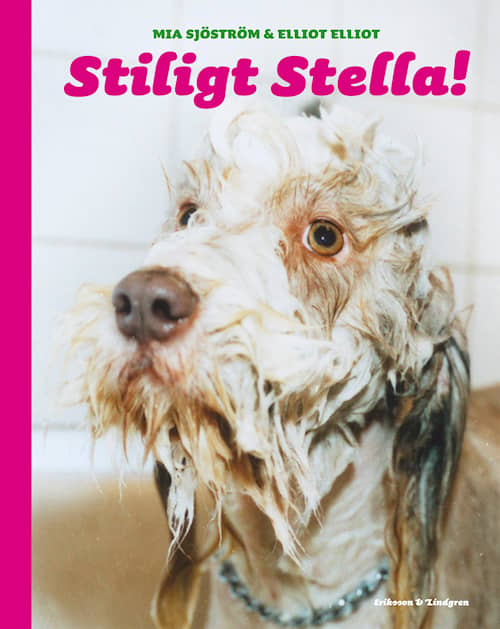Stiligt Stella!