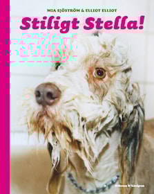 Stiligt Stella!