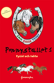 Ponnystallet 1 - Pyssel och fakta