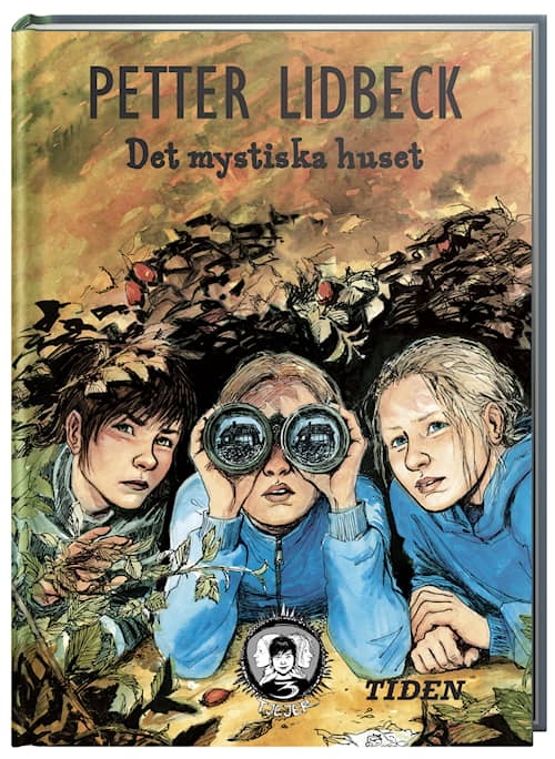 Det mystiska huset