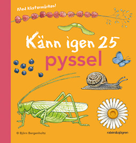 Känn igen 25 pyssel