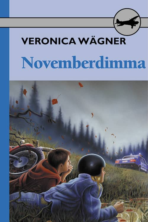 Novemberdimma