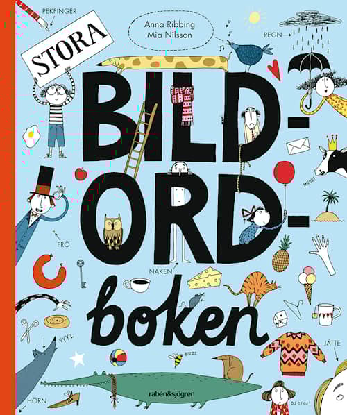Stora bildordboken