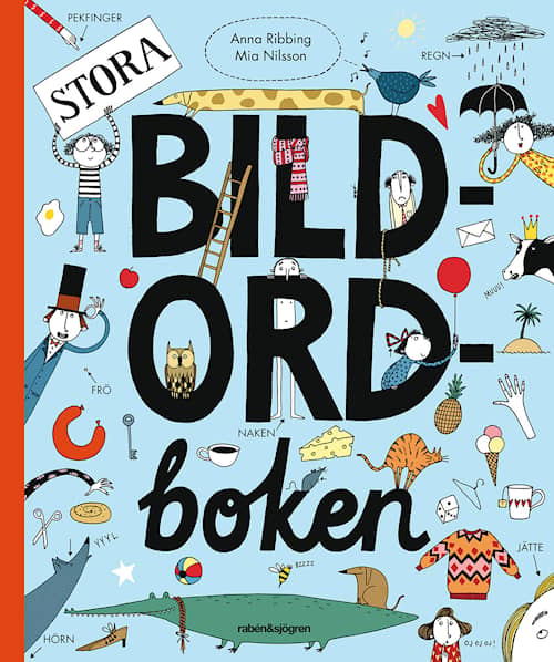 Stora bildordboken