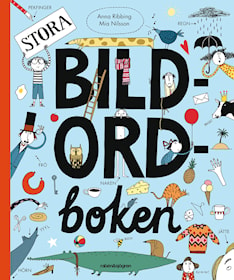 Stora bildordboken