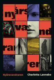 Nyårsvandraren