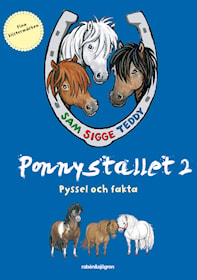 Ponnystallet 2 - Pyssel och fakta