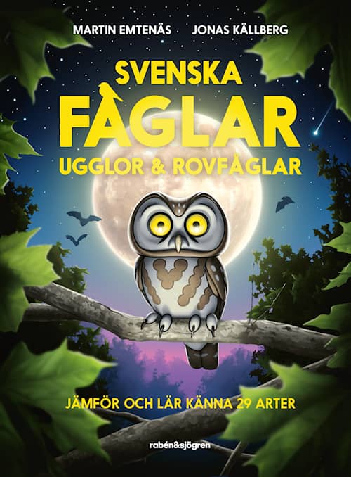 Svenska fåglar: ugglor och rovfåglar