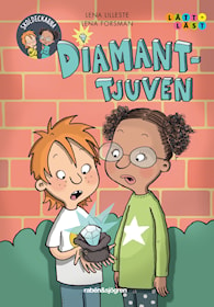 Diamant-tjuven