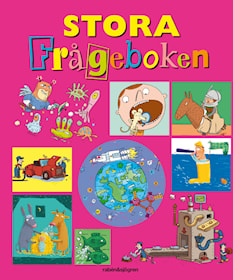 Stora frågeboken