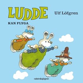 Ludde kan flyga