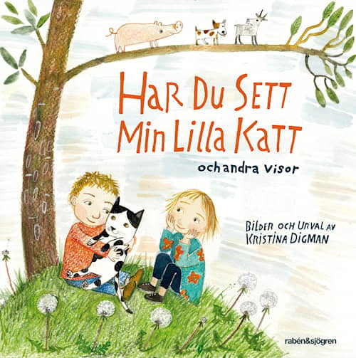 Har du sett min lilla katt?